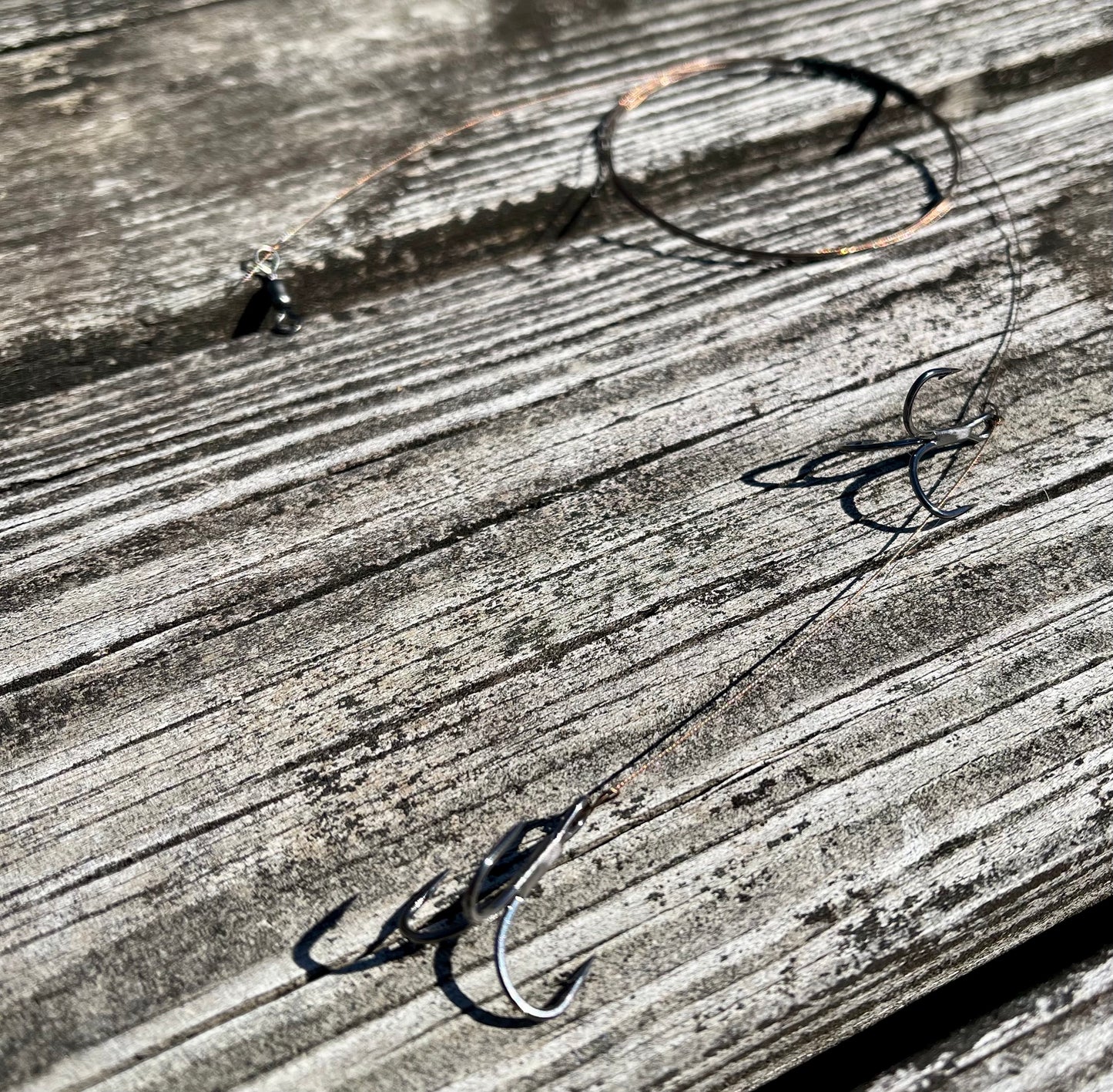 Draggin Live Bait Trolling Rig